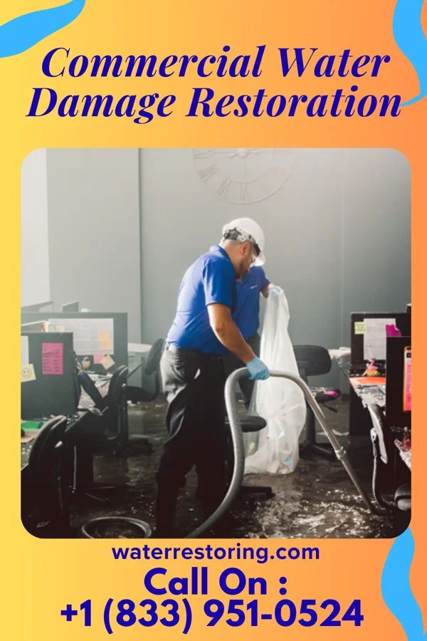 Commercial Water Damage Restoration in North Vacherie, LA